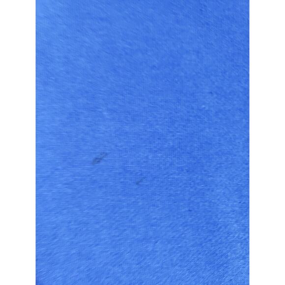 Florida Gators Majestic Hoodie Size Large Mens Blue Drawstrings Football NCAA - Picture 8 of 9